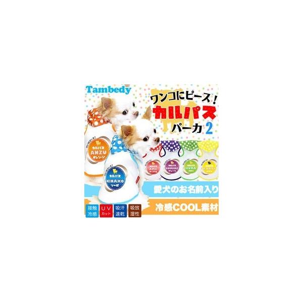 _SiP5{2423:59܂Ł^   tėp ΍ Ђ gCv[h O ⊴N[ JpX p[J[2 BW