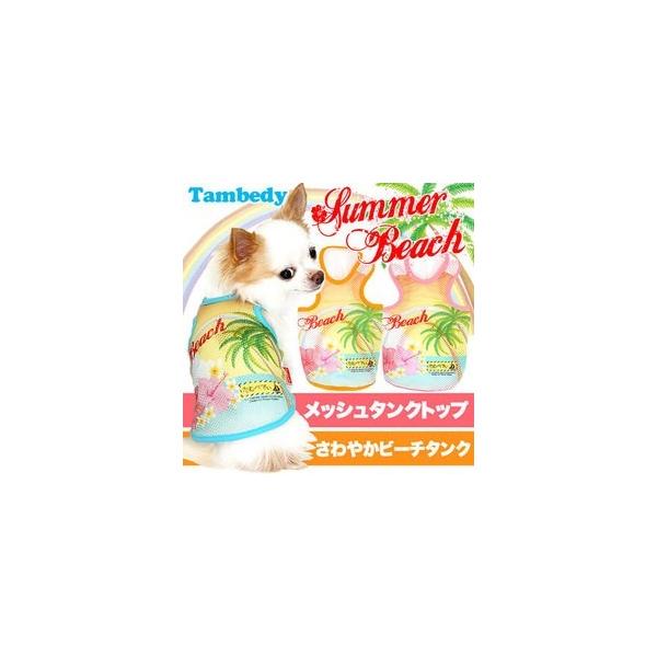 _SiP5{2423:59܂Ł^  t ΍ s ` gCv[h  T}[r[` bV^Ngbv