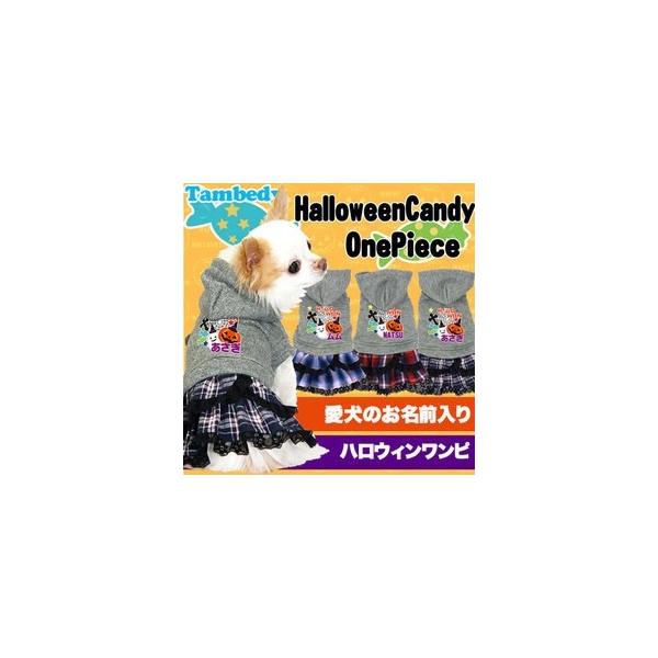 _ő1000~It3023:59܂Ł^  ΂ \ ` gCv[hO nEBLfB s[X