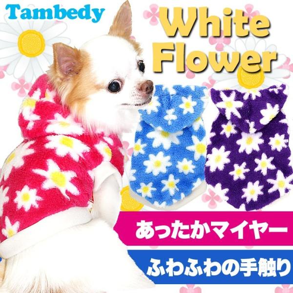 _SiP5{2423:59܂Ł^  hbOEFA  ybg ̗m H~ zCgt[ }C[p[J[