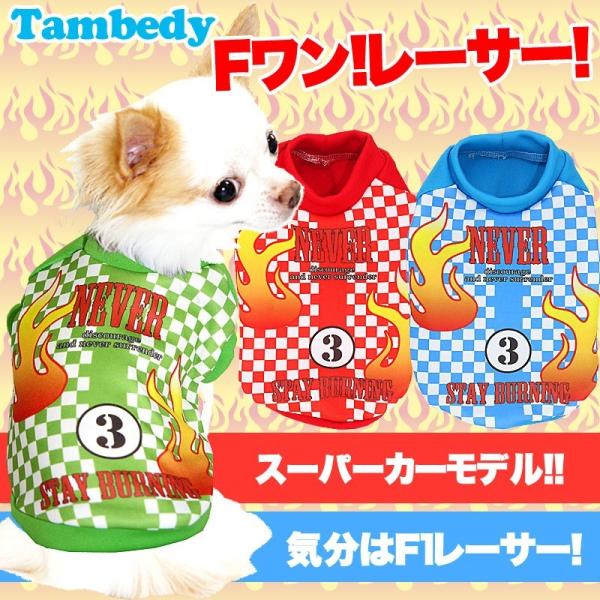 �_�ő�1000�~�I�t22��23:59�܂Ł^�� �� �H�~ �y�b�g �s���i�q �`���� �g�C�v�[�h�� �� F1���[�T�[ �V���c3D�yH�z