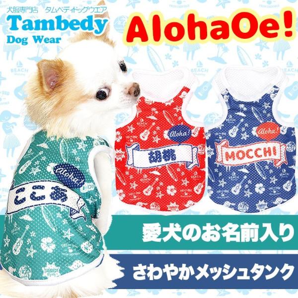 _SiP5{2423:59܂Ł^   gCv[h `  O AnIG bV^Ngbv