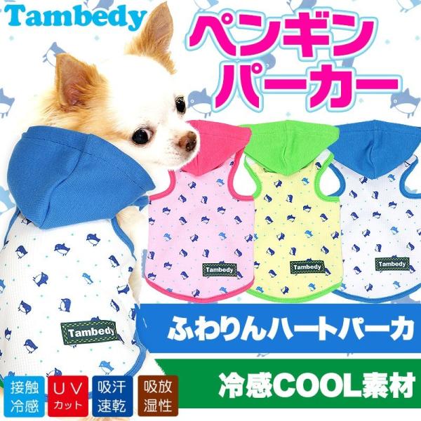 _SiP5{2423:59܂Ł^  tėp Ђ ΍gCv[h ` yM p[J[ ⊴N[BW