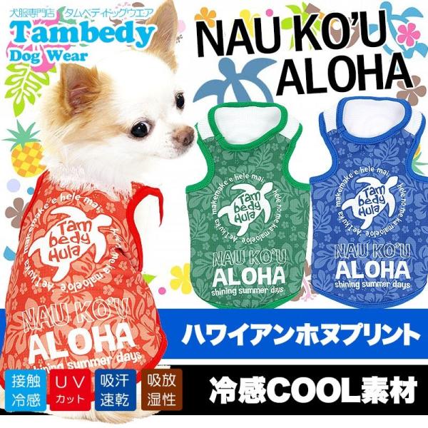 _SiP5{2423:59܂Ł^  tėp ΍ ` gCv[h  ⊴N[ iEREAn ^NgbvBW