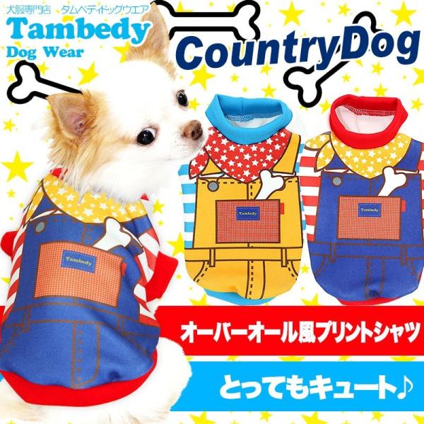 _ő1000~It3023:59܂Ł^  H~ ybg I[o[I[ ` gCv[h  킢 Jg[hbO 3D