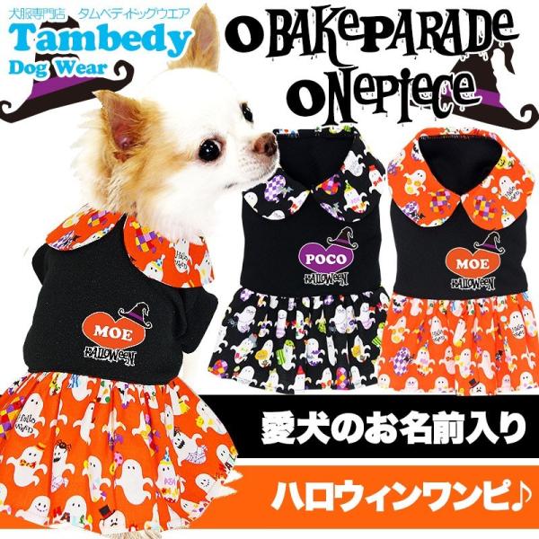 _ő1000~It3023:59܂Ł^  ̕ H~ nEB gCv[h `  O IoPp[h s[X 3D