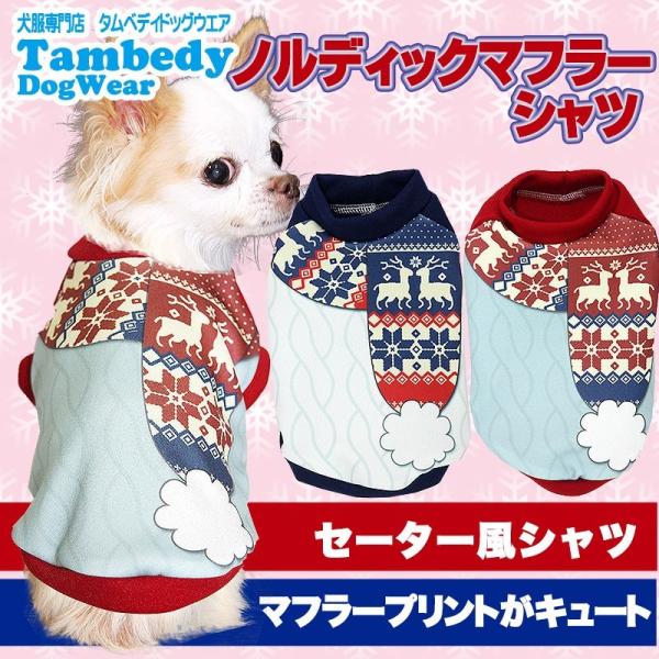 _SiP5{2423:59܂Ł^  t ΍ gCv[h `  mfBbN}t[Vc 3D