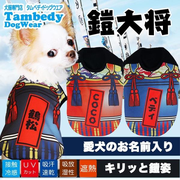 _SiP5{2423:59܂Ł^   tėp `gCv[h O ⊴N[ Z叫(낢傤) m[X[u BW