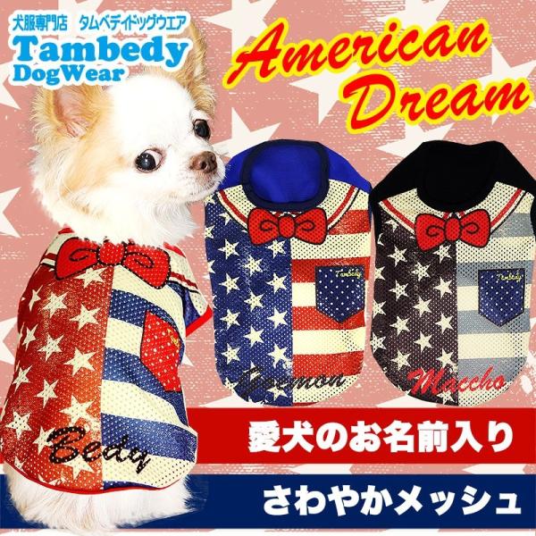 _SiP5{2423:59܂Ł^   t USA ` gCv[h O AJh[ bVm[X[u