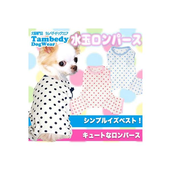 _SiP5{2423:59܂Ł^  ybgEFA H~ ΍ hbg gCv[h `  ^xfB   p[X