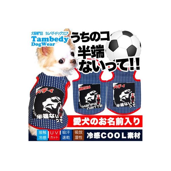   O ⊴N[ ̃R[ȂāI TbJ[jtH[^NgbvBW