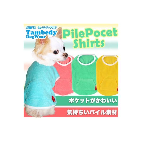 _SiP5{2423:59܂Ł^  H~ ybg  gCv[h `  킢 pC|Pbg Vc