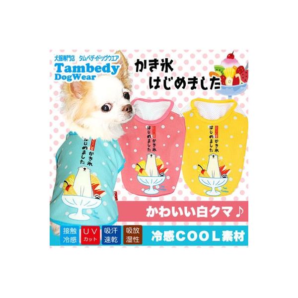 _SiP5{2423:59܂Ł^   ΍ ` gCv[h  ⊴N[ X͂߂܂ VcBW