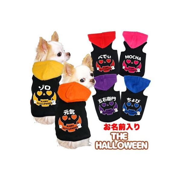 _SiP5{2423:59܂Ł^  O hbOEFA   ybg ̗m H~ O UEnEB p[J