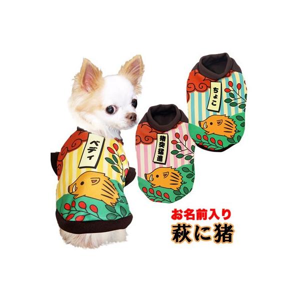 _SiP5{2423:59܂Ł^  gCv[h   ̂ CmVV ԎD ߂ł O ɒ(S/3/RI/H/)