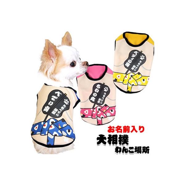 _SiP5{2423:59܂Ł^  ybgEFA  H~ ` gCv[h  yU ӂǂ O 告o 񂱏ꏊ(S/3/N/H/)