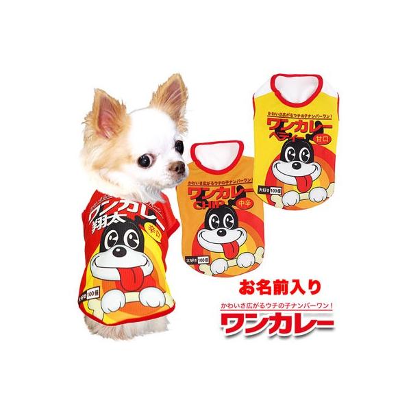    tėp ΍ Ђ gCv[h O ⊴N[ J[ Vc BW