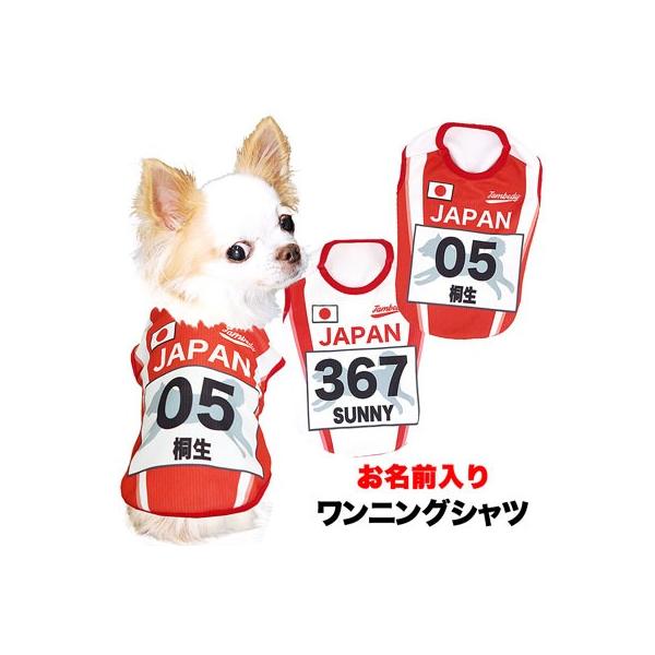    t ΍ Ђ gCv[h  O ⊴N[ jOVc BW