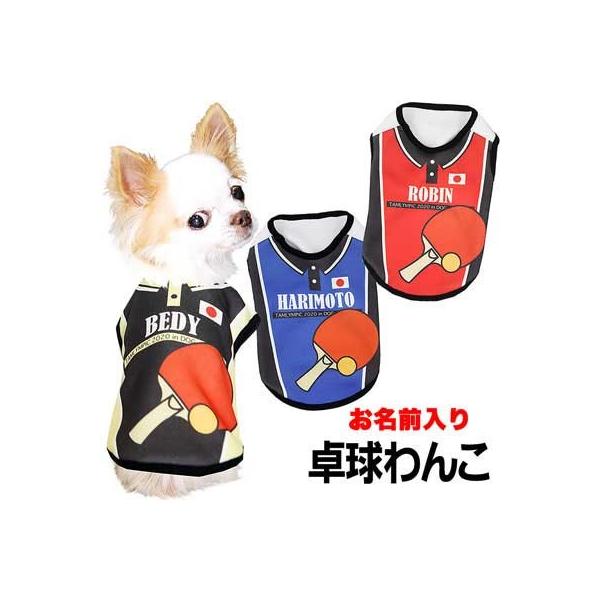 _SiP5{2423:59܂Ł^  ybgEFA s|  ` gCv[h X|[c O 싅