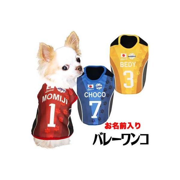   ybgEFA ` gCv[  {\ O o[{[R ⊴N[(S/N/H/)