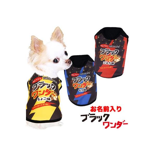 _SiP5{2423:59܂Ł^  ybg  H~ `R pfB ` gCv[h O ubN_[ Vc 3D