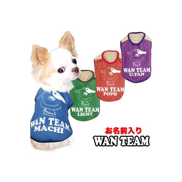 �_�ő�1000�~�I�t22��23:59�܂Ł^�� �� �y�b�g�E�F�A ������ ���O�r�[ ���킢�� �`���� �g�C�v�[�h�� ���O���� �����`�[�� �V���c(S/3/N/H/)