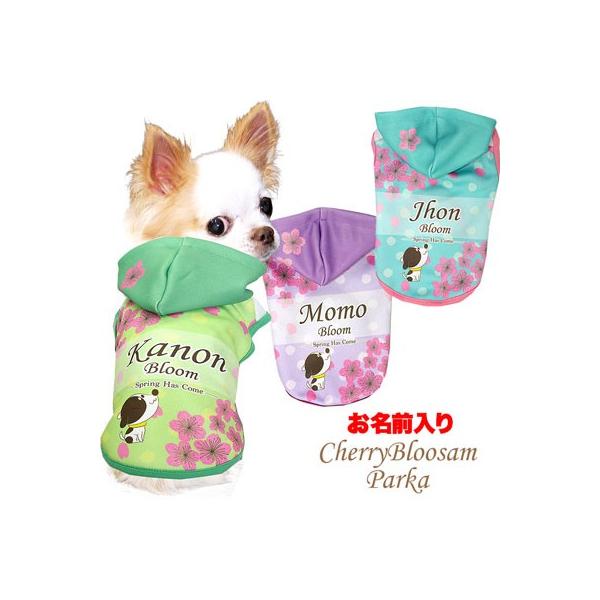 _񌎃Z[JÒ^  ybgEFA   Ԍ  ` gCv[h O `F[ubT p[J[