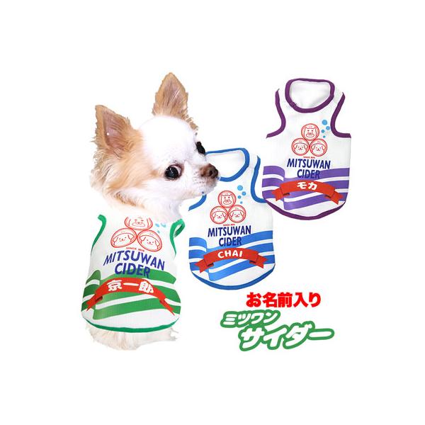 _ő1000~It3023:59܂Ł^   tėp ΍ Ђ pfB O ⊴N[ ~cTC_[ ^Ngbv BW