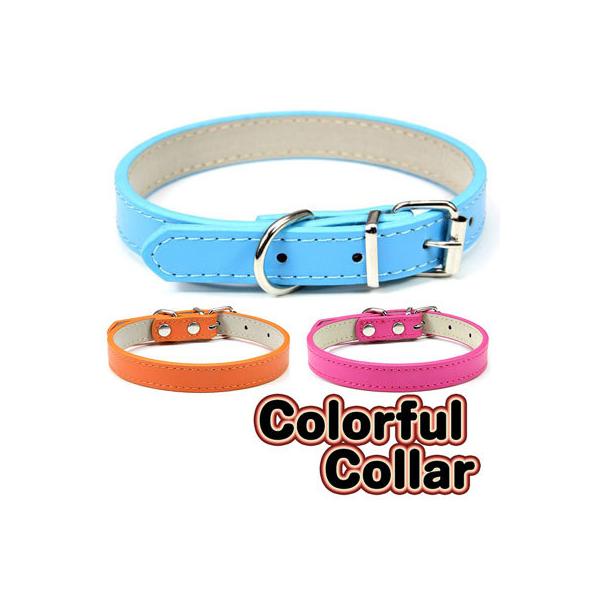    _bNX gCv[h `  ^xfB JtJ[