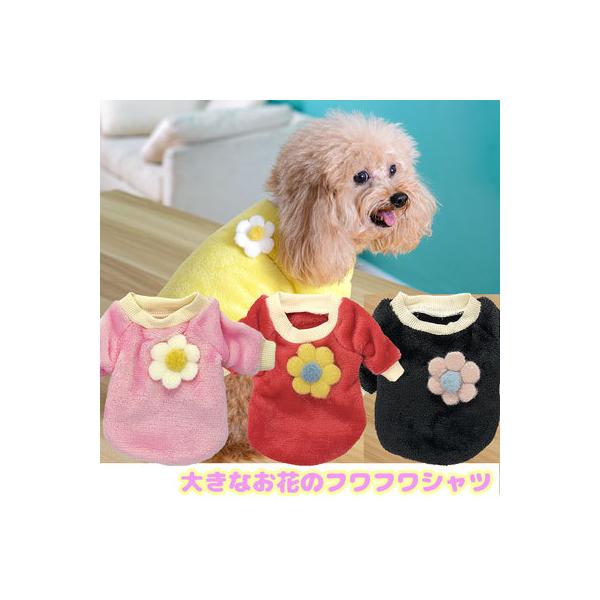 _SiP5{2423:59܂Ł^   gCv[h `  ^xfB 傫ȂԂ̂ӂӂVc