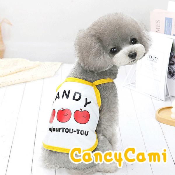 _ő1000~It3023:59܂Ł^   gCv[h ` XC[c 킢 ^xfB LfBL~\[