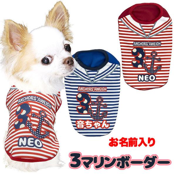 _SiP5{2423:59܂Ł^   tėp ΍ Ђ O ⊴N[ 3}{[_[Vc BW