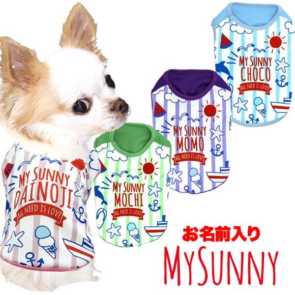 _SiP5{2423:59܂Ł^   tėp ΍ Ђ O ⊴N[ }CTj[Vc BW