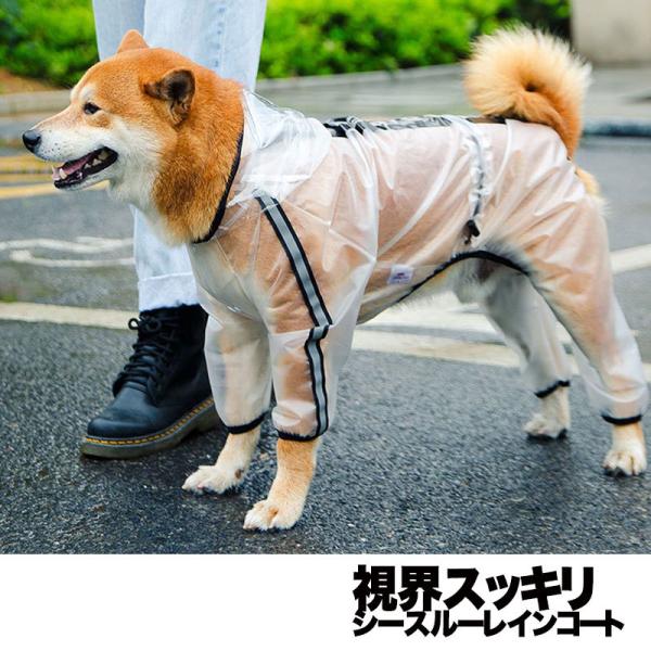 _񌎃Z[JÒ^  ̕  J ~J U ` gCv[h ^xfB  V[X[CR[g