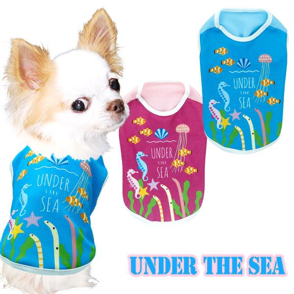 _SiP5{2423:59܂Ł^  tėp ΍ C  ` gCv[h  낢 ⊴N[ A_[UV[BW