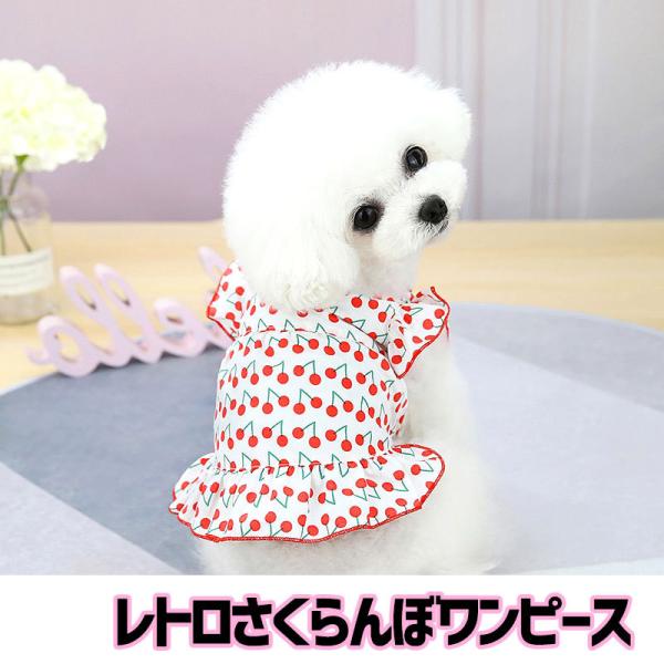    gCv[h `  `F[ ^xfB gڃs[X