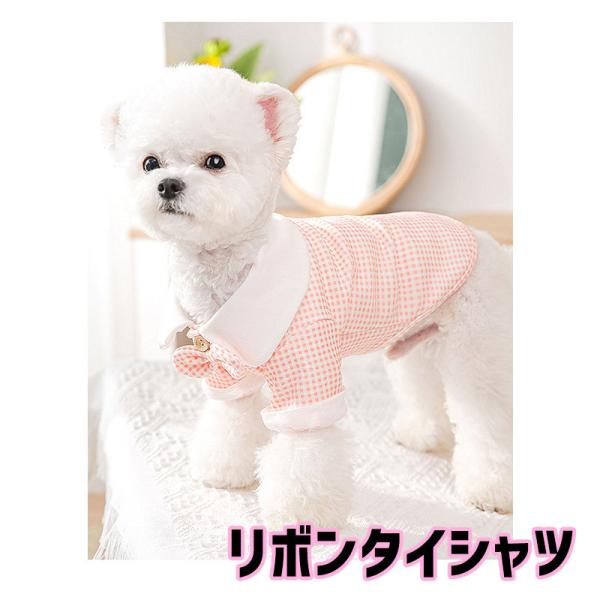 _ő1000~It3023:59܂Ł^   gCv[h `  ^xfBs\t{^CVc