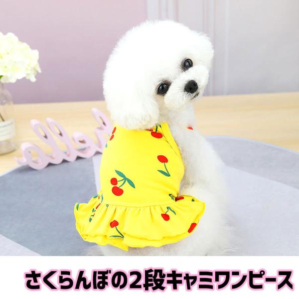 _ő1000~It3023:59܂Ł^   gCv[h `  `F[ ^xfB ڂ2iL~s[X