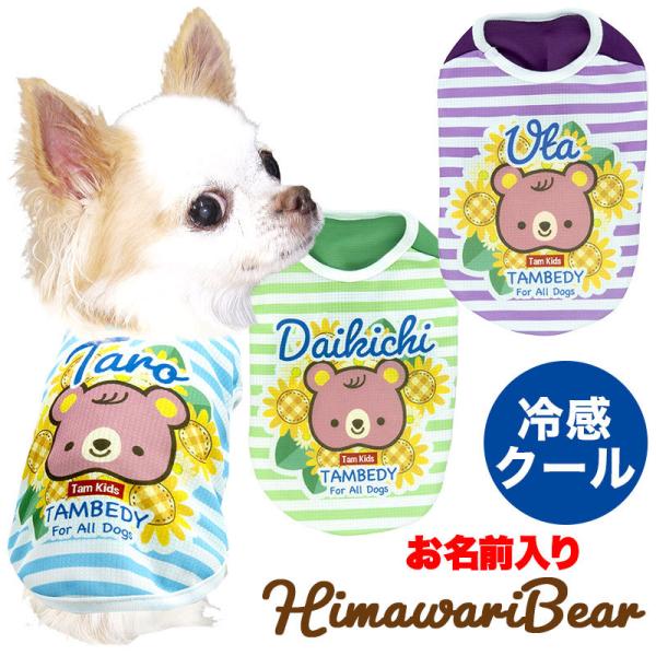    tėp ΍ Ђ  O ⊴N[ q}xA(S/B/N/H/)