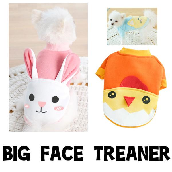 _ő1000~It3023:59܂Ł^   gCv[h `  ^xfB rbOtFCXg[i[