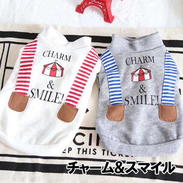 �_�ő�1000�~�I�t22��23:59�܂Ł^�� �� ������� �g�C�v�[�h�� �`���� �� �^���x�f�B �`���[�����X�}�C���g���[�i�[