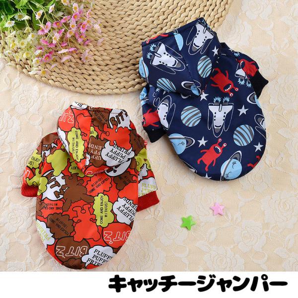 _SiP5{2423:59܂Ł^  hbOEFA  ybg ̗m H~ Lb`[Wp[