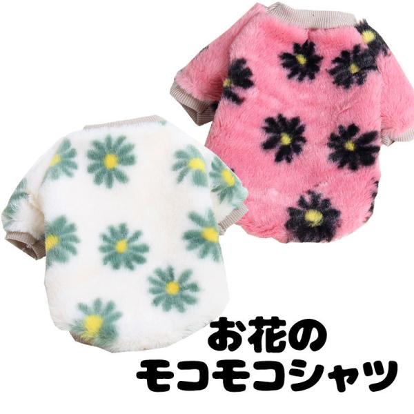    gCv[h ` t[X ^xfB Ԃ̃RRVc