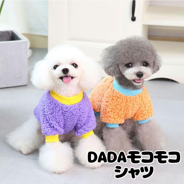 _ő1000~It3023:59܂Ł^  ̕ H ~ DADARRVc {A }C[t[X ΍