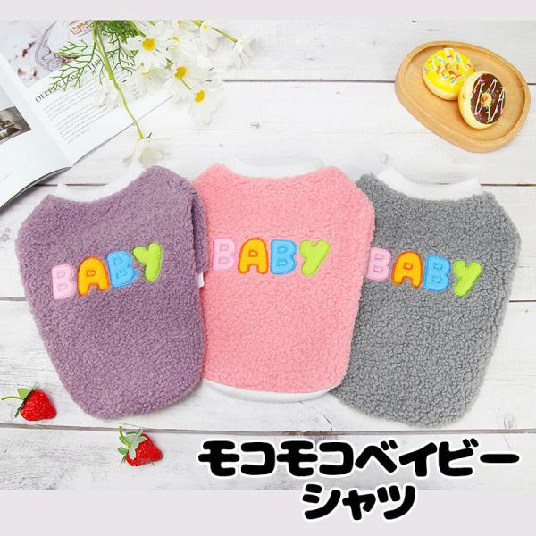 _ő1000~It3023:59܂Ł^  ̕ H ~ RRxCr[Vc {A }C[t[X ΍