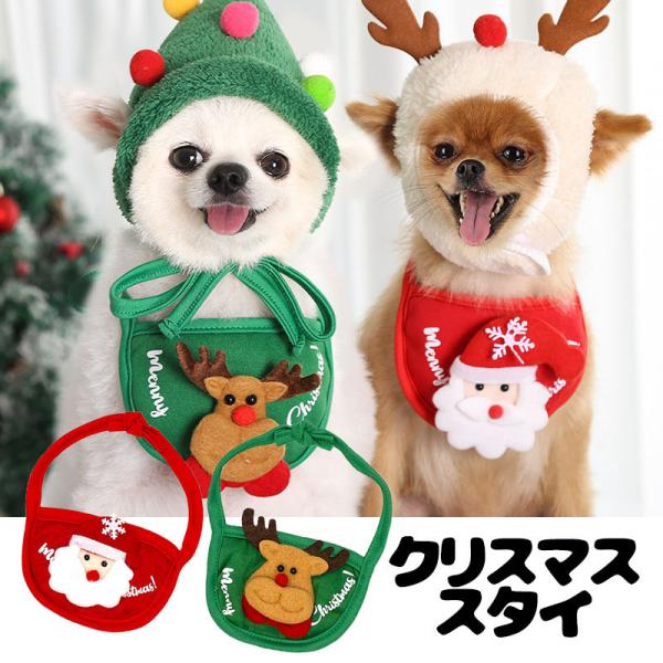 _SiP5{2423:59܂Ł^  ̕ H ~ NX}XX^C RXv p[eBObY O| giJC T^N[X