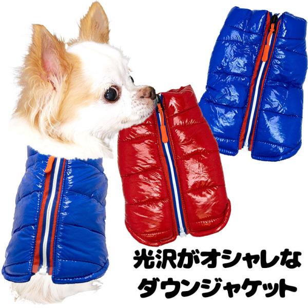 _SiP5{2423:59܂Ł^  ̕ H ~ 򂪂ȃ_EWPbg t@Xi[ `bN