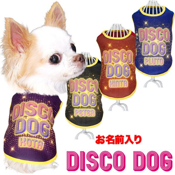 �_�ő�1000�~�I�t22��23:59�܂Ł^�� �� ���̕� ������ �H �~ ���O���� �f�B�X�R�h�b�O �L���L�� �_���X