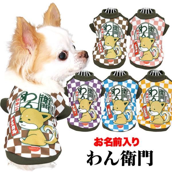 �_�ő�1000�~�I�t22��23:59�܂Ł^�� �� ���̕� ������ �H �~ ���O���� ���q�� �C���X�^���g�� �p���f�B ���������� �~