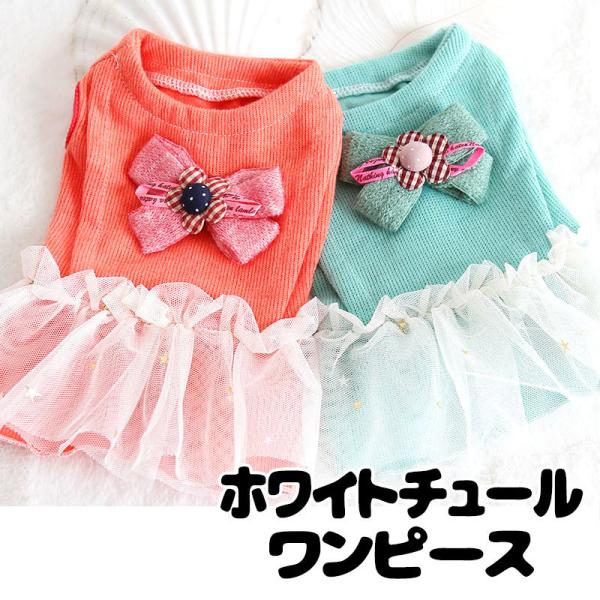 _ő1000~It3023:59܂Ł^  ̕ t H ~ zCg`[s[X `[   |Cg {